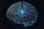 cyber brain, computer, brain, the internet, web3, 0, blockchain, cyber, artificial intelligence, brain, brain, brain, brain, brain, artificial intelligence, artificial intelligence, artificial intelligence, artificial intelligence